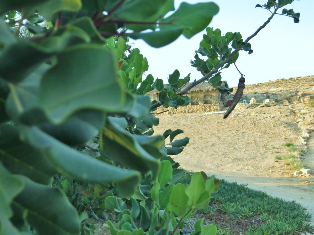 Succah In The Desert Mitzpe Ramon Exterior foto