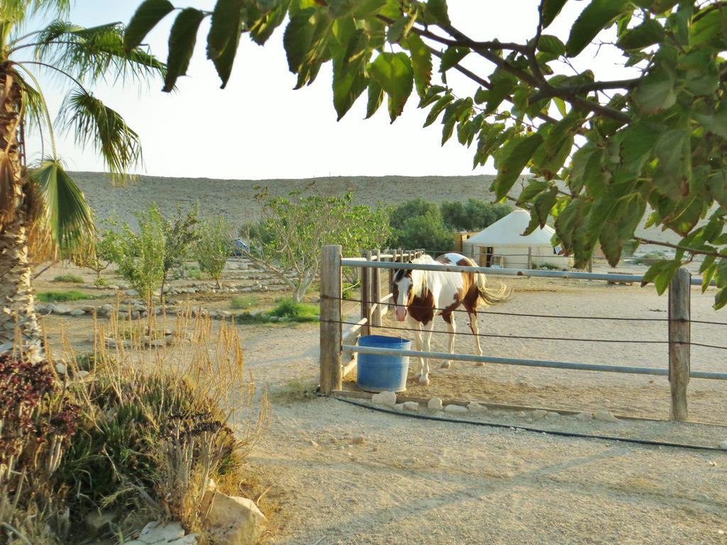 Succah In The Desert Mitzpe Ramon Exterior foto