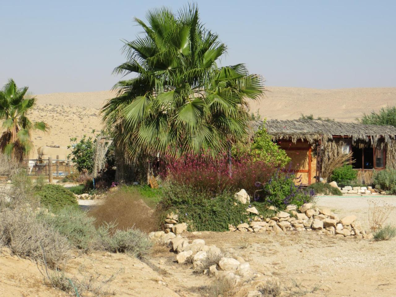 Succah In The Desert Mitzpe Ramon Exterior foto