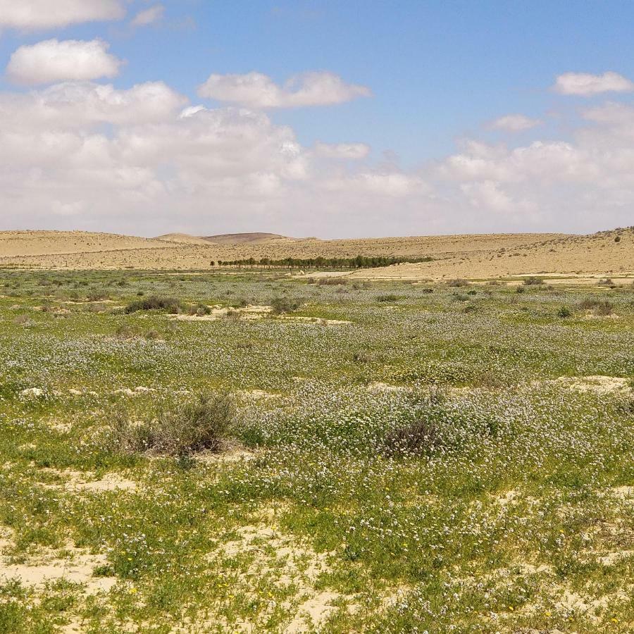 Succah In The Desert Mitzpe Ramon Exterior foto